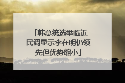 韩总统选举临近 民调显示李在明仍领先但优势缩小