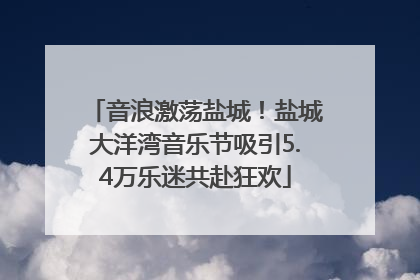 音浪激荡盐城！盐城大洋湾音乐节吸引5.4万乐迷共赴狂欢