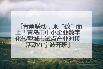 青甬联动，乘“数”而上！青岛市中小企业数字化转型城市试点产业对接活动在宁波开班
