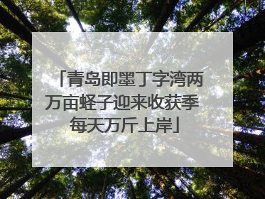 青岛即墨丁字湾两万亩蛏子迎来收获季 每天万斤上岸