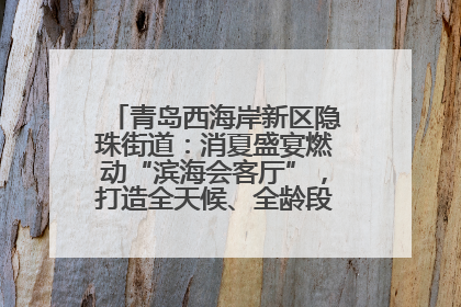 青岛西海岸新区隐珠街道：消夏盛宴燃动“滨海会客厅”，打造全天候、全龄段消费生态圈