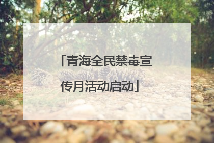 青海全民禁毒宣传月活动启动