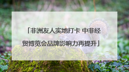 非洲友人实地打卡 中非经贸博览会品牌影响力再提升