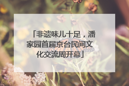 非遗味儿十足，潘家园首届京台民间文化交流周开幕