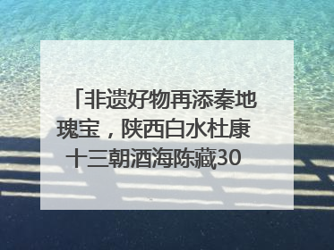 非遗好物再添秦地瑰宝，陕西白水杜康十三朝酒海陈藏30年别具一格