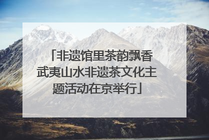 非遗馆里茶韵飘香 武夷山水非遗茶文化主题活动在京举行