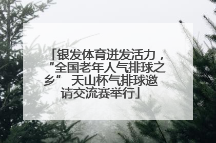 银发体育迸发活力，“全国老年人气排球之乡” 天山杯气排球邀请交流赛举行