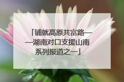 铺就高原共富路——湖南对口支援山南系列报道之一