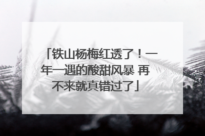 铁山杨梅红透了！一年一遇的酸甜风暴 再不来就真错过了
