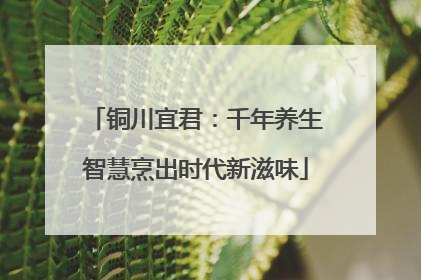 铜川宜君：千年养生智慧烹出时代新滋味