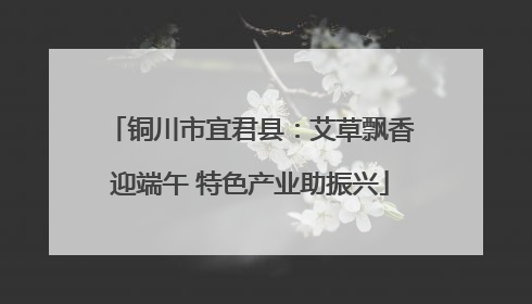 铜川市宜君县：艾草飘香迎端午 特色产业助振兴