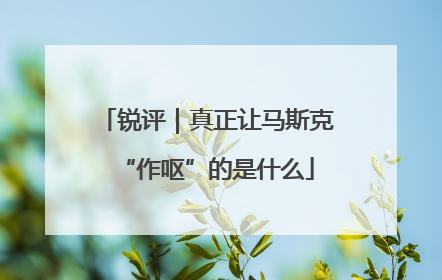 锐评｜真正让马斯克“作呕”的是什么