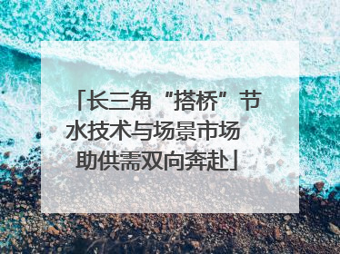 长三角“搭桥”节水技术与场景市场 助供需双向奔赴