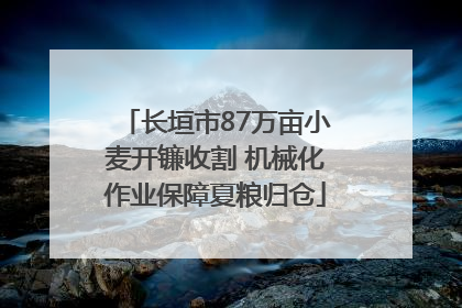 长垣市87万亩小麦开镰收割 机械化作业保障夏粮归仓
