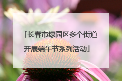 长春市绿园区多个街道开展端午节系列活动