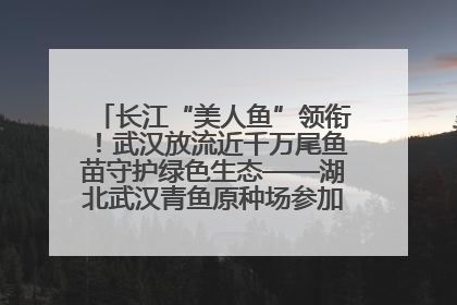 长江“美人鱼”领衔！武汉放流近千万尾鱼苗守护绿色生态——湖北武汉青鱼原种场参加2025年“全国放鱼日”增殖放流活动
