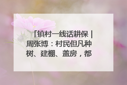 镇村一线话耕保｜周张博：村民但凡种树、建棚、盖房，都要向街道报批