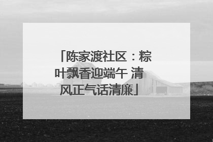 陈家渡社区：粽叶飘香迎端午 清风正气话清廉