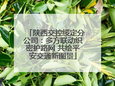 陕西交控绥定分公司：多方联动织密护路网 共绘平安交通新图景