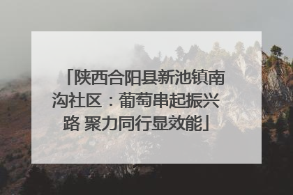 陕西合阳县新池镇南沟社区：葡萄串起振兴路 聚力同行显效能