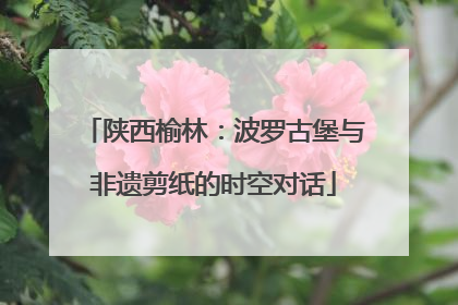 陕西榆林：波罗古堡与非遗剪纸的时空对话
