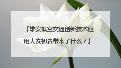 雄安低空交通创新技术应用大赛初赛带来了什么？