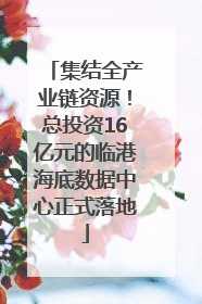 集结全产业链资源！总投资16亿元的临港海底数据中心正式落地