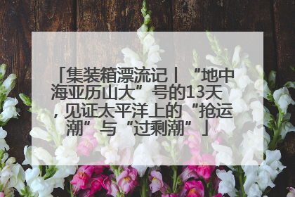 集装箱漂流记丨“地中海亚历山大”号的13天，见证太平洋上的“抢运潮”与“过剩潮”