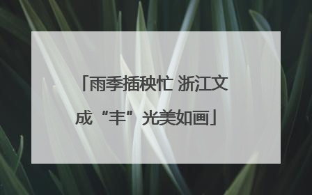 雨季插秧忙 浙江文成“丰”光美如画