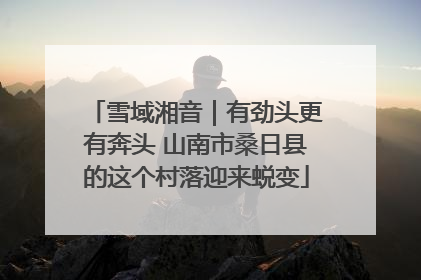 雪域湘音｜有劲头更有奔头 山南市桑日县的这个村落迎来蜕变