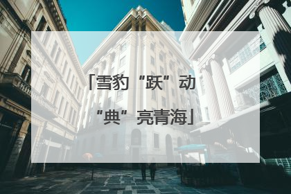 雪豹“跃”动 “典”亮青海