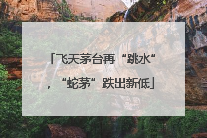 飞天茅台再“跳水”，“蛇茅”跌出新低