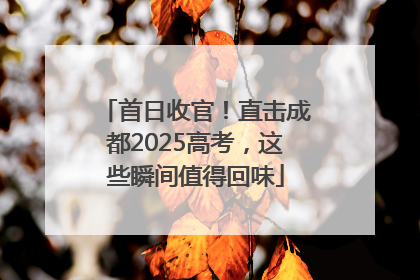 首日收官！直击成都2025高考，这些瞬间值得回味