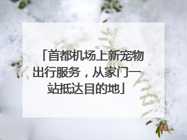 首都机场上新宠物出行服务，从家门一站抵达目的地