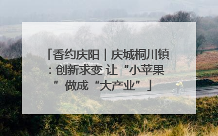 香约庆阳｜庆城桐川镇：创新求变 让“小苹果”做成“大产业”