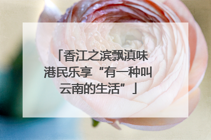 香江之滨飘滇味 港民乐享“有一种叫云南的生活”