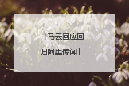 马云回应回归阿里传闻