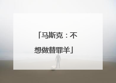 马斯克：不想做替罪羊