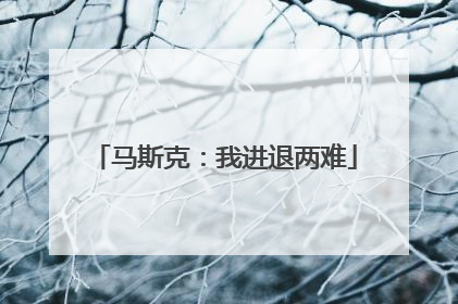 马斯克：我进退两难
