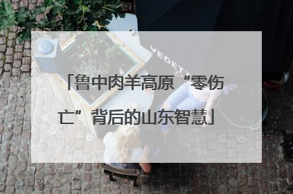 鲁中肉羊高原“零伤亡”背后的山东智慧
