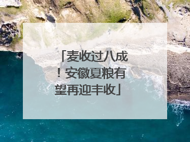 麦收过八成！安徽夏粮有望再迎丰收