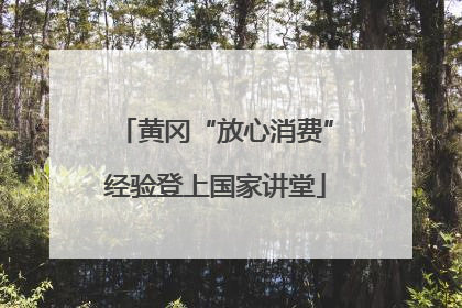 黄冈“放心消费”经验登上国家讲堂