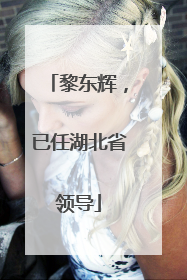 黎东辉，已任湖北省领导