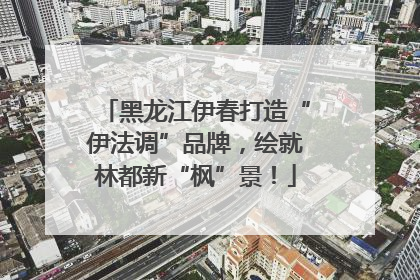 黑龙江伊春打造“伊法调”品牌，绘就林都新“枫”景！