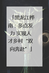 黑龙江桦南：多点发力 实现人才乡村“双向奔赴”