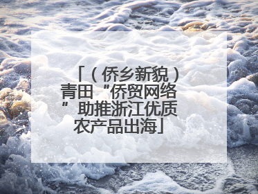 （侨乡新貌）青田“侨贸网络”助推浙江优质农产品出海