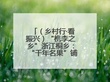 （乡村行·看振兴）“槜李之乡”浙江桐乡：“千年名果”铺就乡村共富路