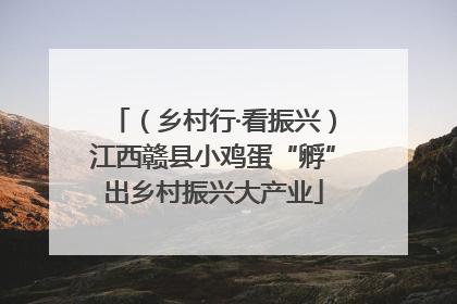 （乡村行·看振兴）江西赣县小鸡蛋“孵”出乡村振兴大产业