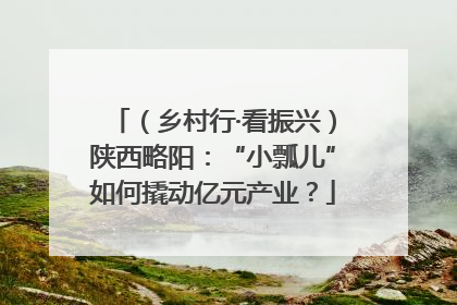 （乡村行·看振兴）陕西略阳：“小瓢儿”如何撬动亿元产业？