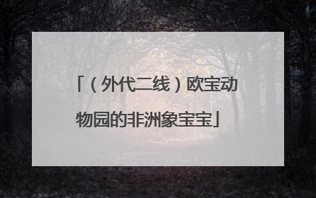 （外代二线）欧宝动物园的非洲象宝宝